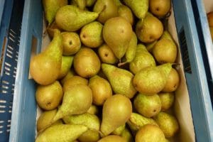 Vers fruit bij Smaakrijk