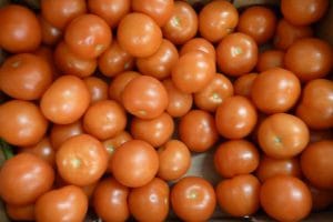 Verse groente bij Smaakrijk