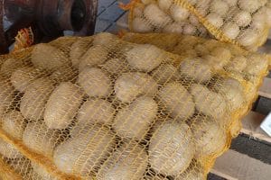 Verse groente bij Smaakrijk